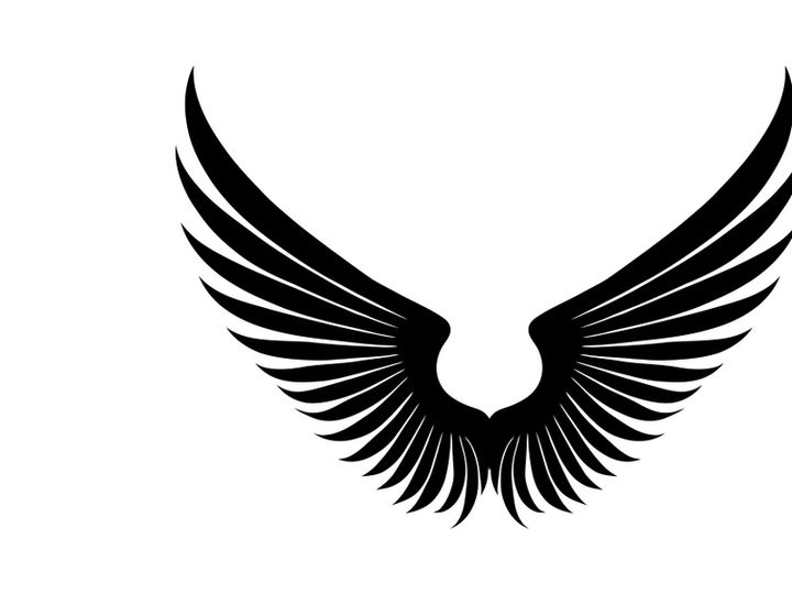 black bird wing logo vector
