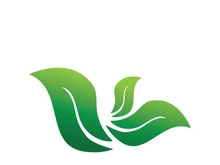 Logos of green tree leaf ecology nature element vector