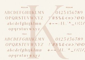 The SARGENT Serif