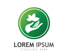 Natural green leaf logo design.