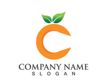 Orange logo design Vector icon illustration design