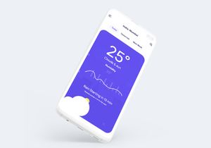 Weather App  Freebie