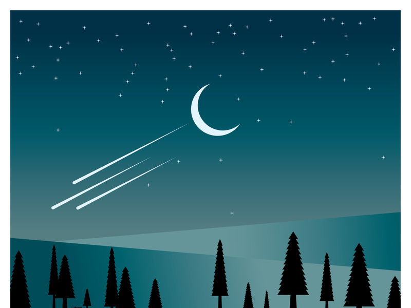 Beautiful landscape of mountains pine trees and moon design vector