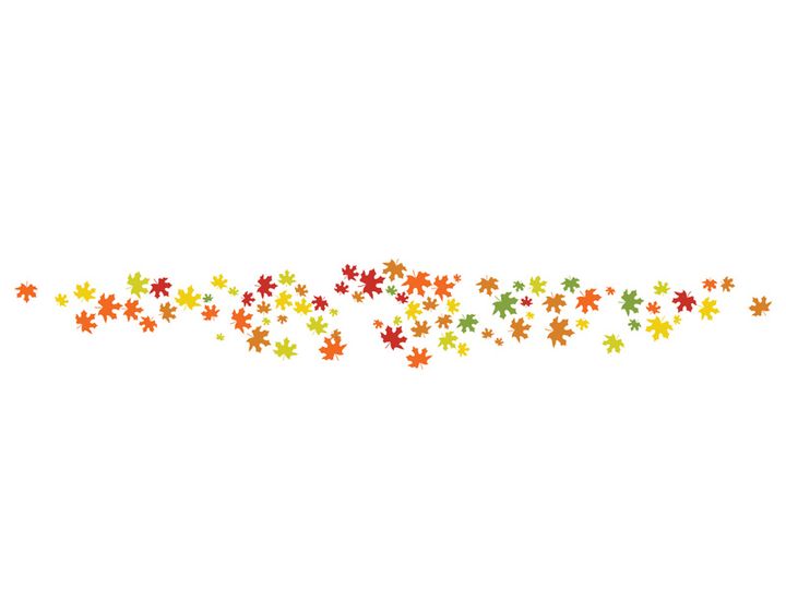Maple Leaf design illustration