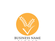 Agriculture wheat logo and symbol vector