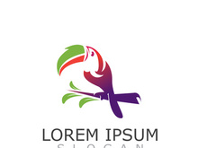 Toucan simple logo design image bird vector illustration