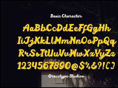 Mellow Script | Vintage Bold Script