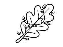 Minimalist line art of a leaf. Elegant botanical illustration for design projects