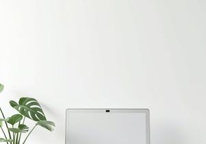 Minimal desk workspace with laptop, notebook, and indoor plant,