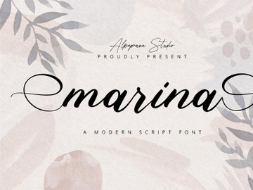 Marina - Modern Script Font preview picture