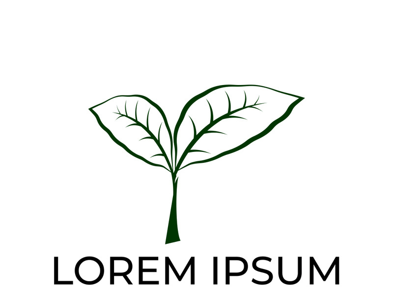 Green leaf logo design vector illustration