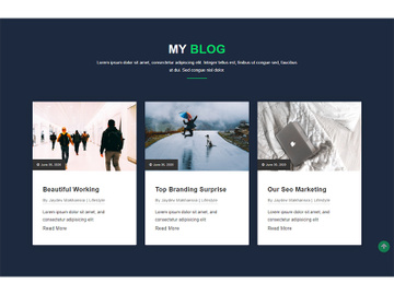 Blog Website Template Design preview picture