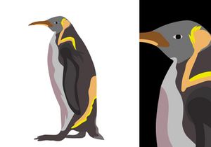 Penguins Vector Bundle