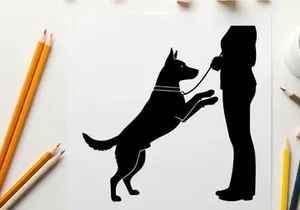 Silhouette of a dog on its hind legs interacting with a person