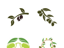 olive icon vector illustration design template