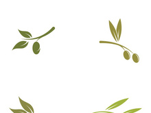 Branched olive fruit logo with creative idea.