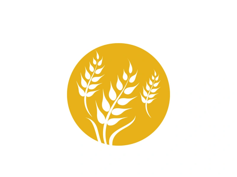 Agriculture wheat vector