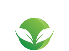 Green leaf logo design template modern leaf logo vector