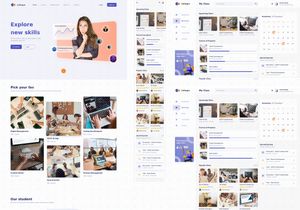 Colleges - Online Course Platform