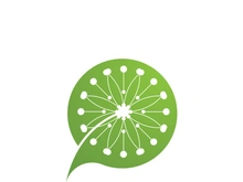 Dandelion flower logo vector