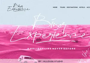 Hapsary - Ballpoint Script Font