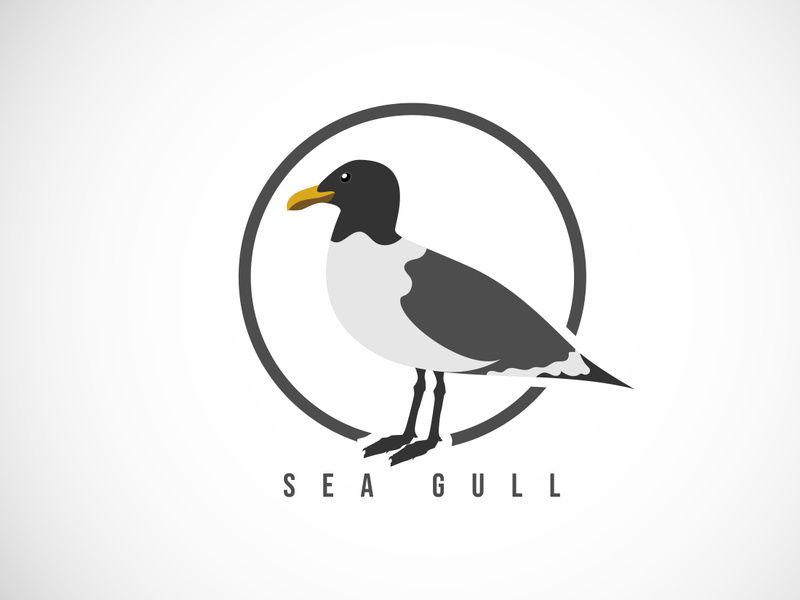 Sea Gull in a circle. Sea Gull logo design template vector illustration