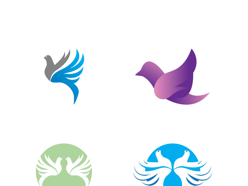 Dove bird logo vector design illustration