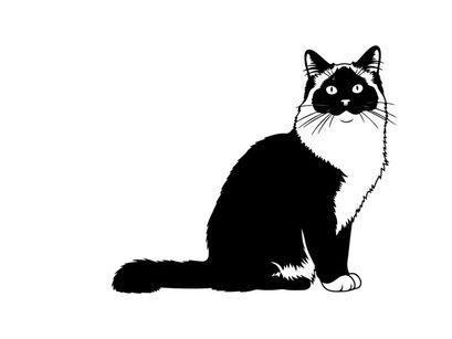 Silhouette of a sitting cat with white and black fur