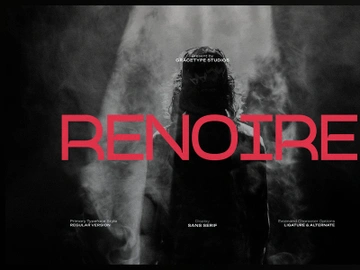 Renoire | Display Sans Serif preview picture