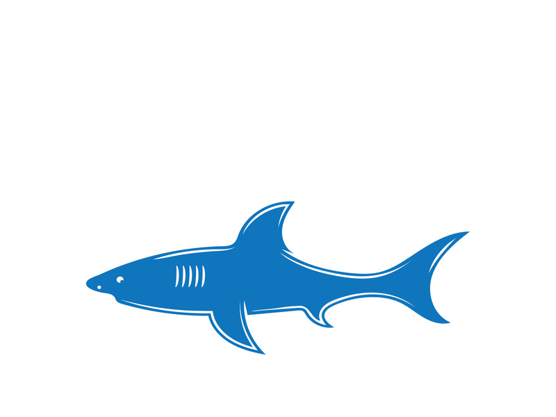 Shark illustration logo template vector