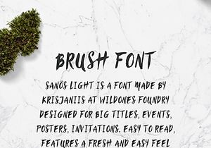 Sanös Brush Script Font