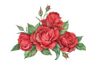 Vector Flower Watercolor Illustration