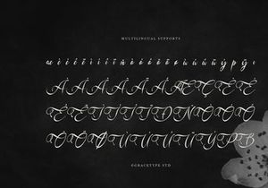Kadegon | Beauty Calligraphy Script