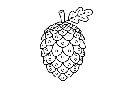 Pine cone line art drawing. Hand drawn botanical illustration of a conifer seed.