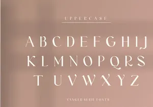 Vanger _ modern serif font