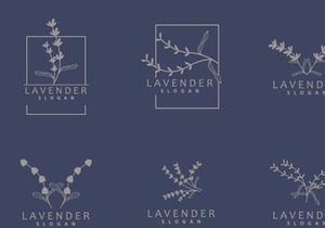Lavender Logo Elegant Purple Flower Plant Illustration