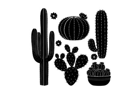 Black silhouette cacti and flowers on white background