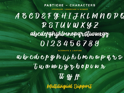 Prestiche - Bold Script