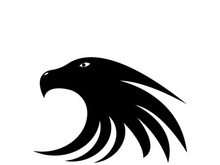 Falcon logo template vector illustration design