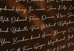 Eldiyamor | Handwritting Script