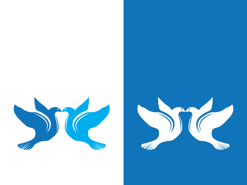 Dove bird logo vector design illustration