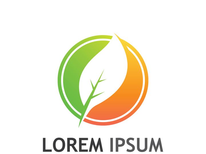 Natural green leaf logo design.