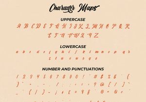The Anthelope - Retro Bold Script Font