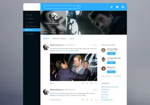 Twitter Redesign Concept