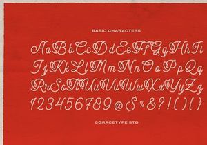 Audley Ipswitch | Monoline Script