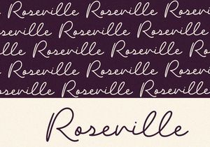 Blush - Script Font