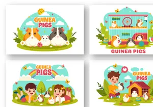 12 Guinea Pig Pets Illustration