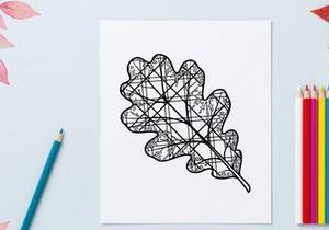 Close-up of a detailed leaf with intricate vein patterns. Natural botanical detail for nature and science themes.