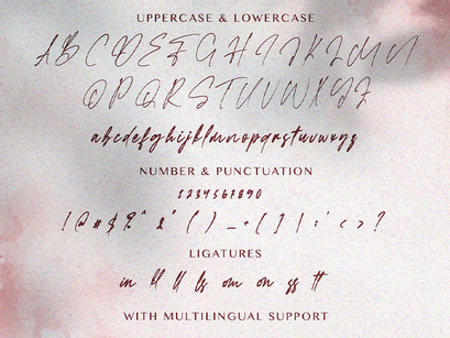 Faloney Script - Handwritten Font