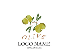 olive icon vector illustration design template